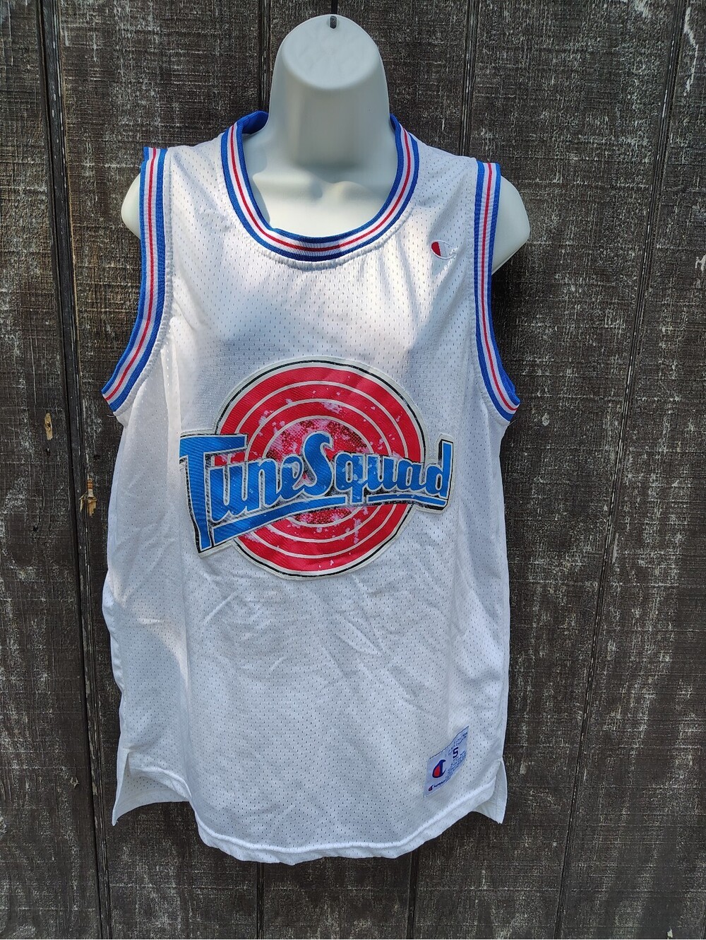 Vintage Champion Tune Squad Bugs Bunny Jersey